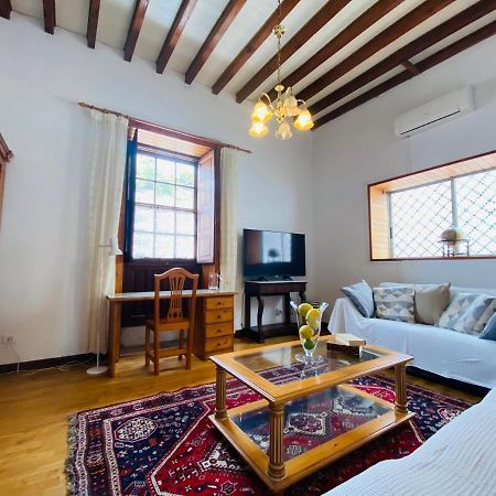 New Typical Canary Home Casa Ma, 阿罗纳 外观 照片
