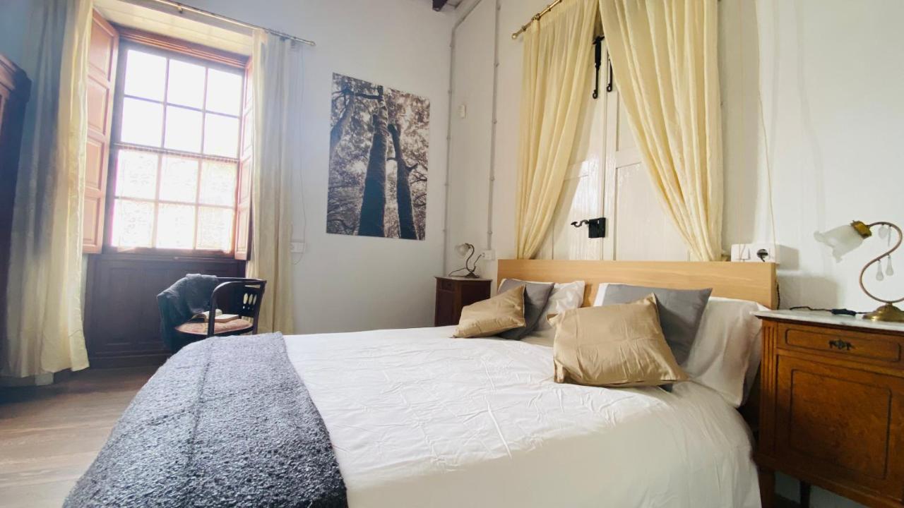 New Typical Canary Home Casa Ma, 阿罗纳 外观 照片